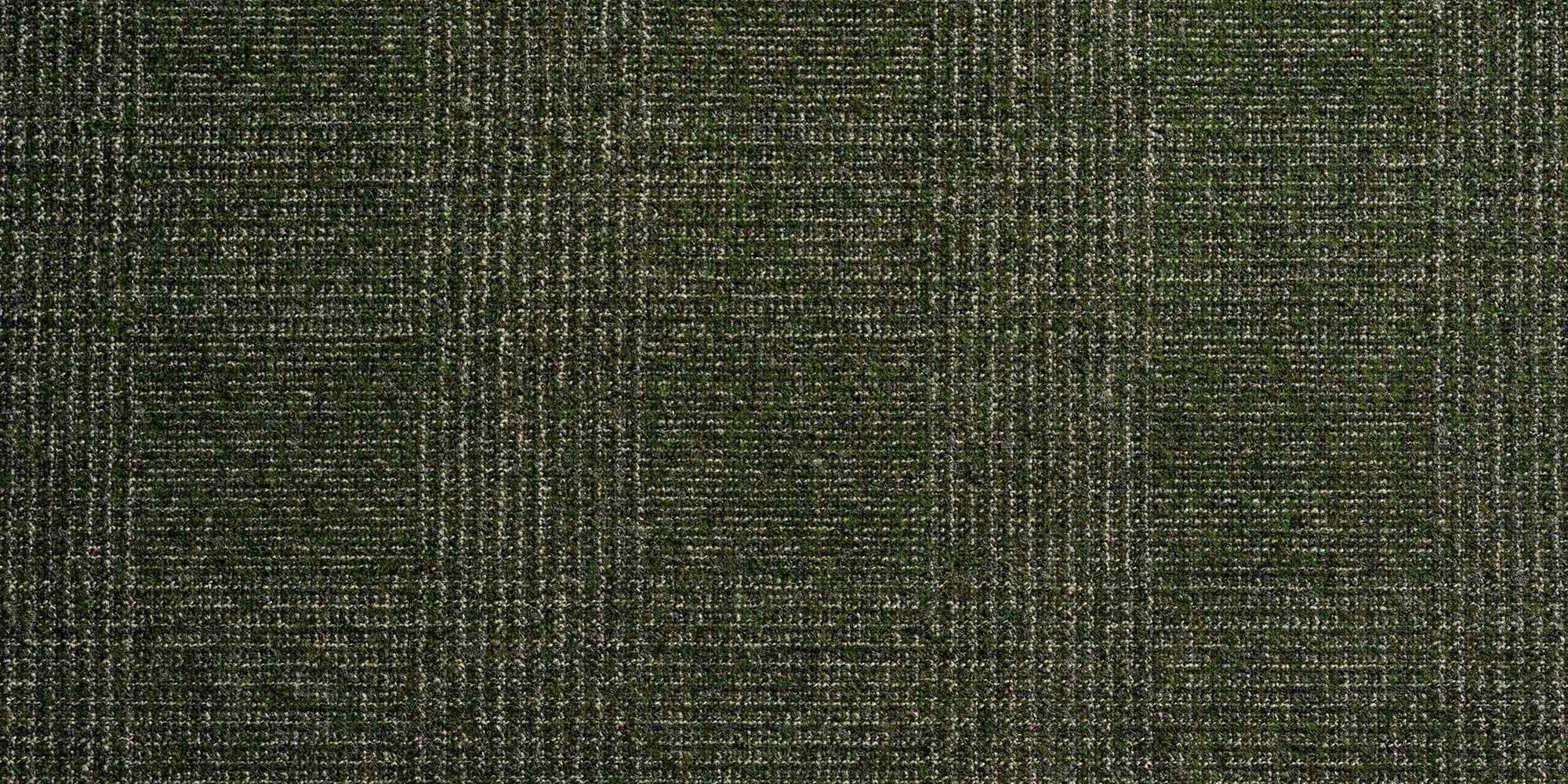 _LPQ1179_n
